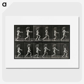 2-100_Eadweard-Muybridge_picture