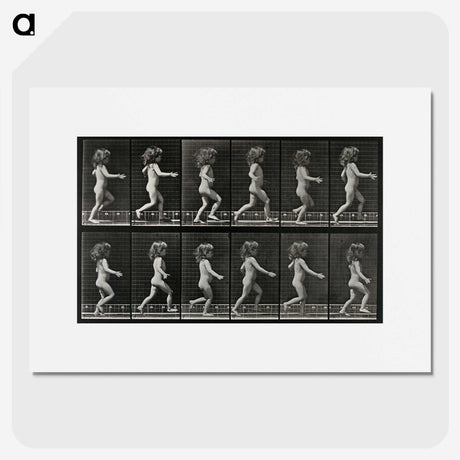 2-100_Eadweard-Muybridge_picture