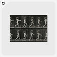 2-100_Eadweard-Muybridge_postcard
