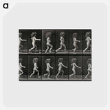 アートポストカード-Running Girl
 - エドワード マイブリッジ Postcard.