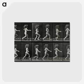 2-100_Eadweard-Muybridge_postcard