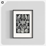 2-100_Ernst-Haeckel_blk