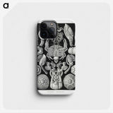 2-100_Ernst-Haeckel_phone