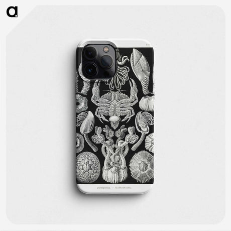 2-100_Ernst-Haeckel_phone