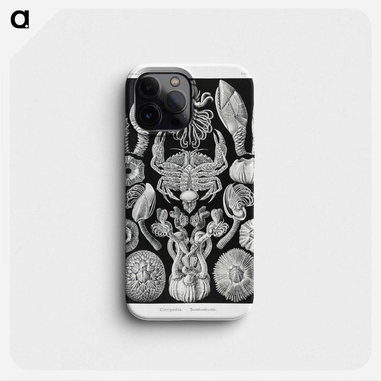 Cirripedia–Rankenkreble - エルンスト ヘッケル Phone Case.