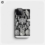 Cirripedia–Rankenkreble - エルンスト ヘッケル Phone Case.