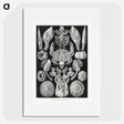 2-100_Ernst-Haeckel_picture