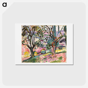 アートポストカード-Olive Trees at Collioure - アンリ マティス Postcard.