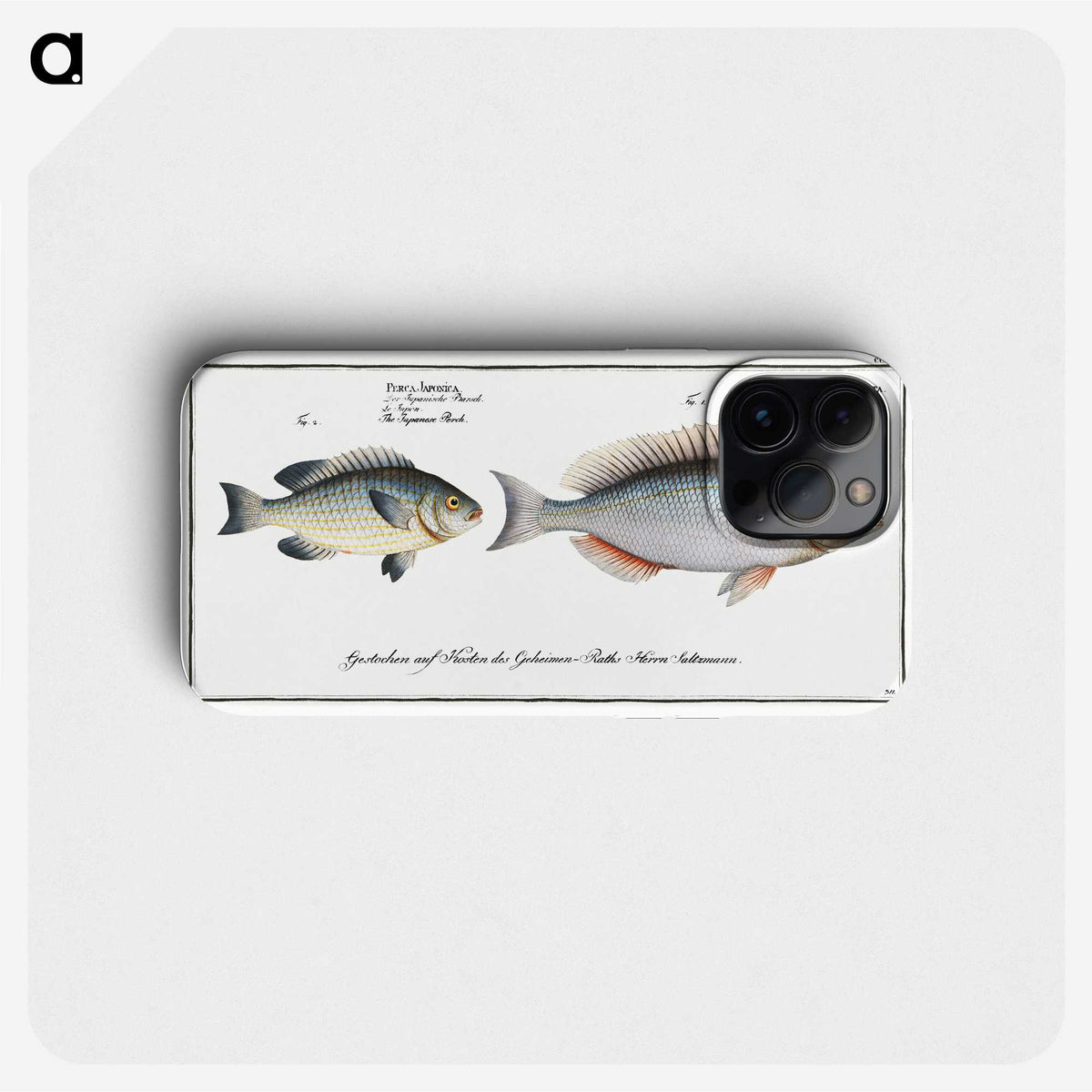 2-100_Ichtyologie-ou-Histoire-naturelle_phone