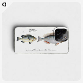2-100_Ichtyologie-ou-Histoire-naturelle_phone
