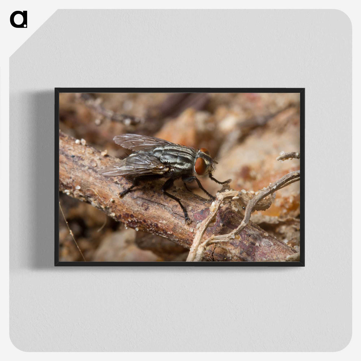 2-100_Insects-Unlocked-Project_blk-crop