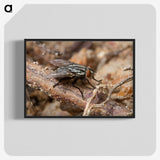 2-100_Insects-Unlocked-Project_blk-crop