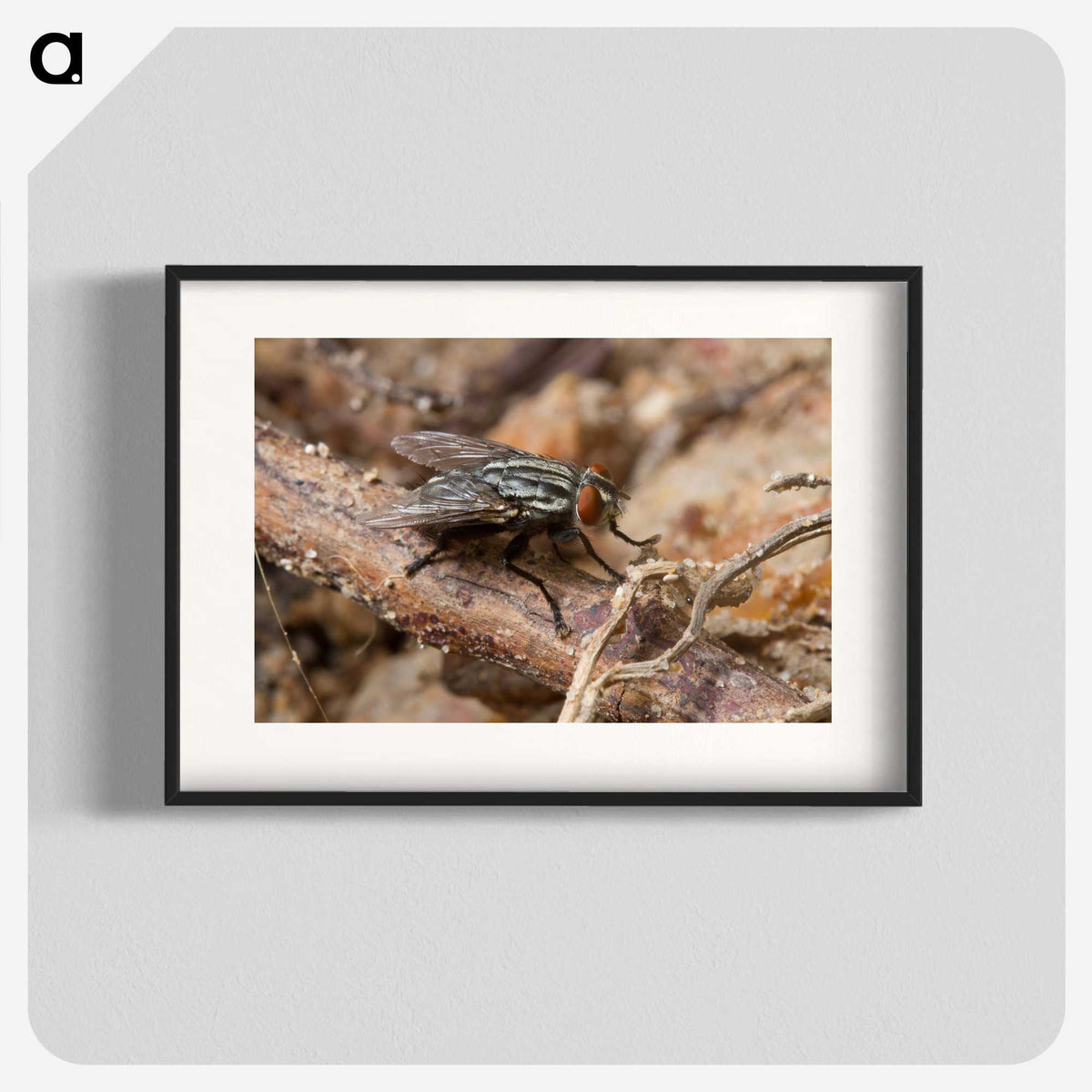 2-100_Insects-Unlocked-Project_blk
