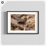 2-100_Insects-Unlocked-Project_blk