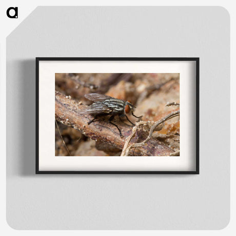 2-100_Insects-Unlocked-Project_blk