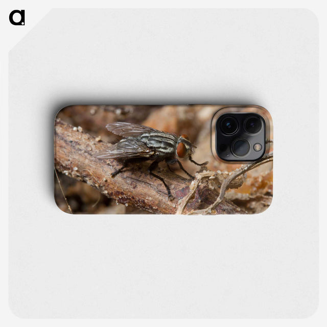 2-100_Insects-Unlocked-Project_phone