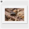 2-100_Insects-Unlocked-Project_picture