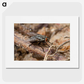 2-100_Insects-Unlocked-Project_picture