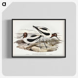 2-100_John-Gould_blk-crop