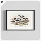 2-100_John-Gould_blk