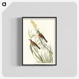 2-100_John-James-Audubon_blk-crop