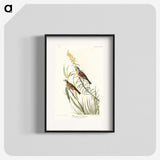 2-100_John-James-Audubon_blk