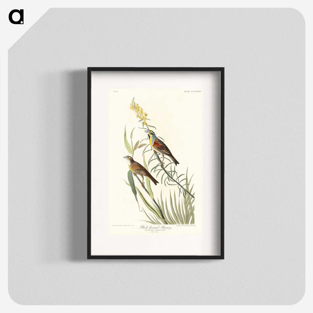2-100_John-James-Audubon_blk