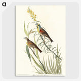 2-100_John-James-Audubon_picture-crop