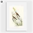 2-100_John-James-Audubon_picture