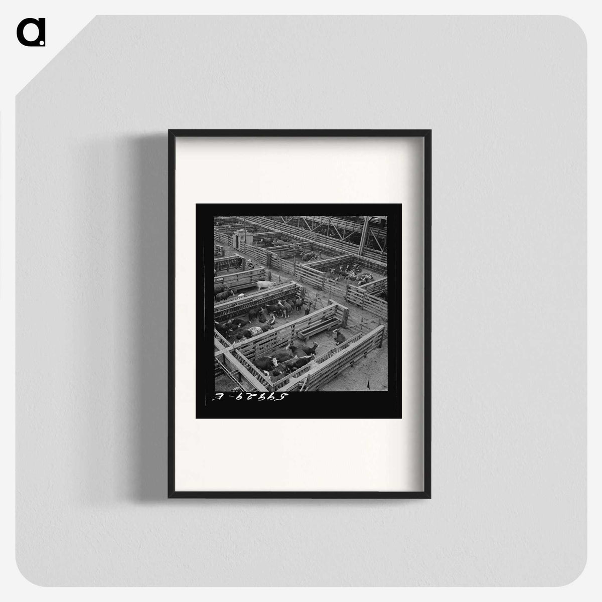 2-100_Marion-Post-Wolcott_blk