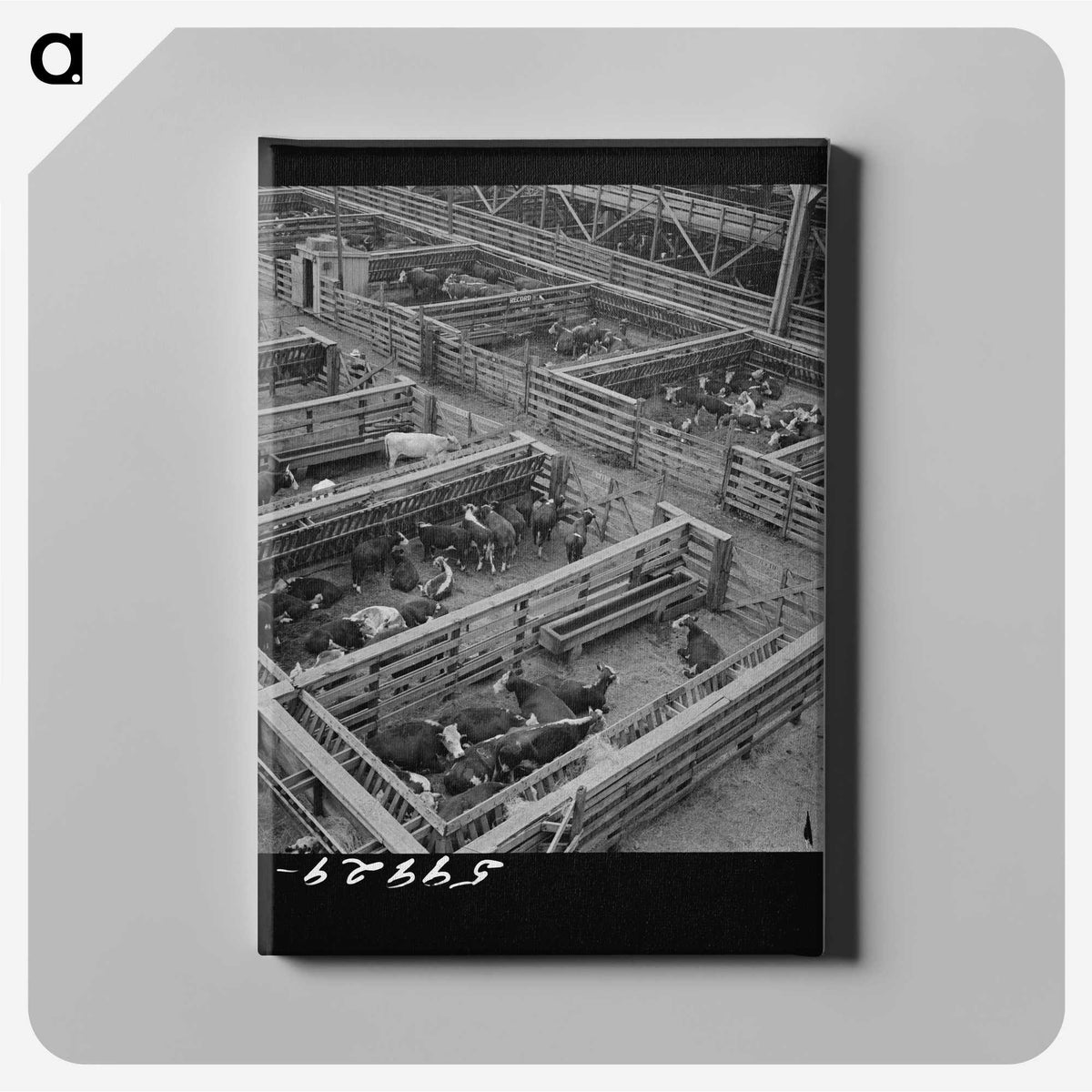 2-100_Marion-Post-Wolcott_canvas
