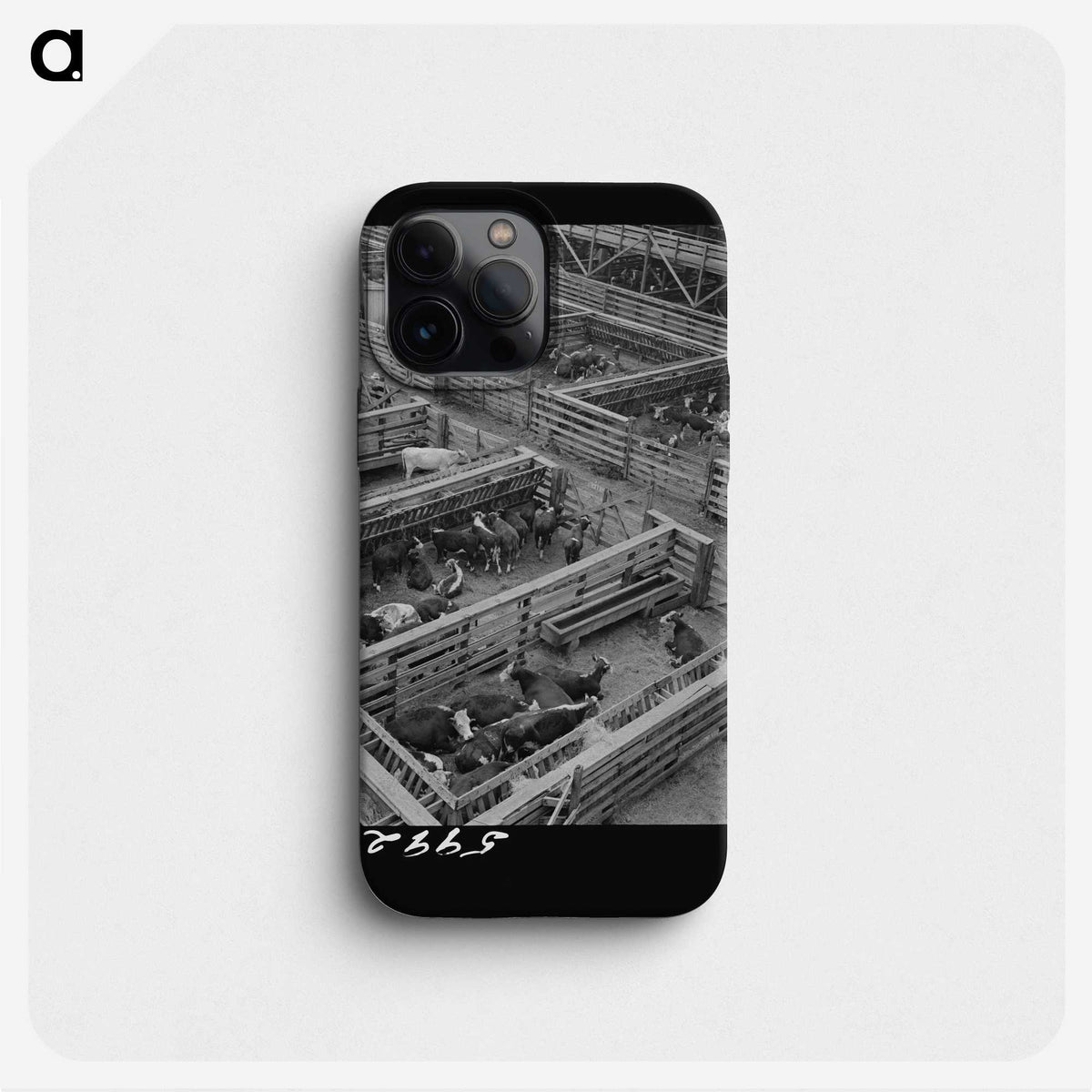 2-100_Marion-Post-Wolcott_phone