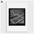 2-100_Marion-Post-Wolcott_picture