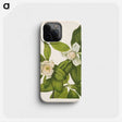 2-100_Mary-Vaux-Walcott_phone