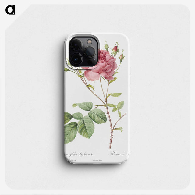 2-100_Pierre-Joseph-Redoute_phone