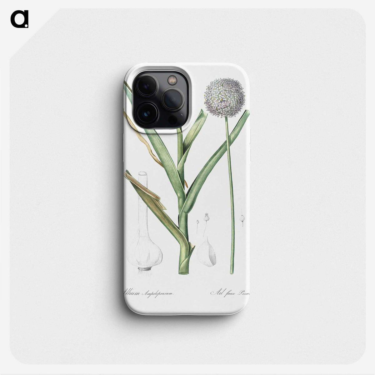 2-100_The-Lilies_phone