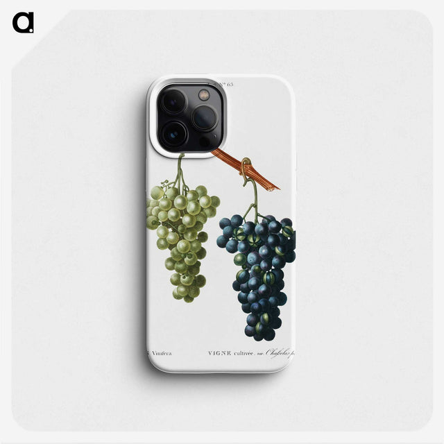 2-100_Treatise-on-Trees-and-Shrubs_phone