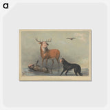 アートポストカード-Stag at Bay
 - イェール大学アートギャラリー Postcard.