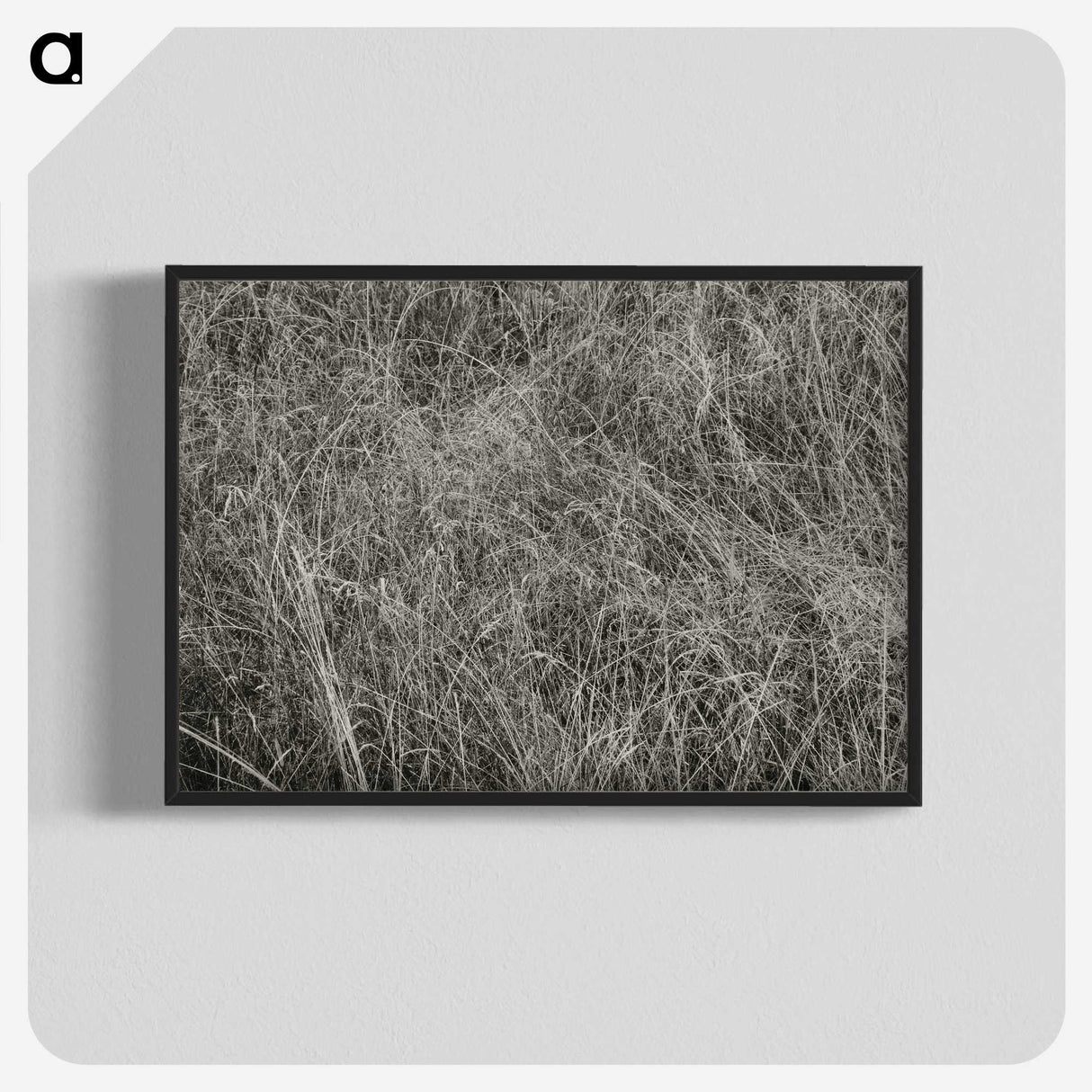 2-10_Alfred-Stieglitz_blk-crop