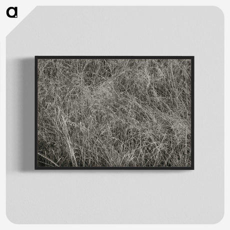 2-10_Alfred-Stieglitz_blk-crop