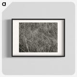 2-10_Alfred-Stieglitz_blk
