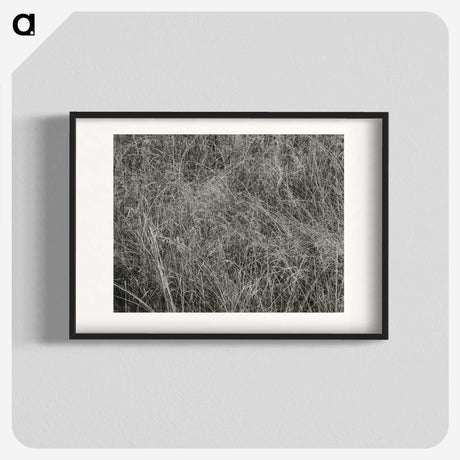 2-10_Alfred-Stieglitz_blk