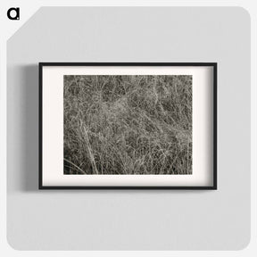 アートポスター-Grass - アルフレッド スティーグリッツ Poster.