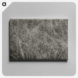 2-10_Alfred-Stieglitz_canvas