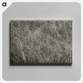 2-10_Alfred-Stieglitz_canvas
