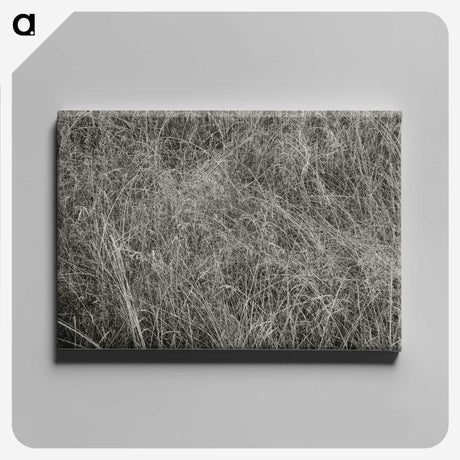 2-10_Alfred-Stieglitz_canvas