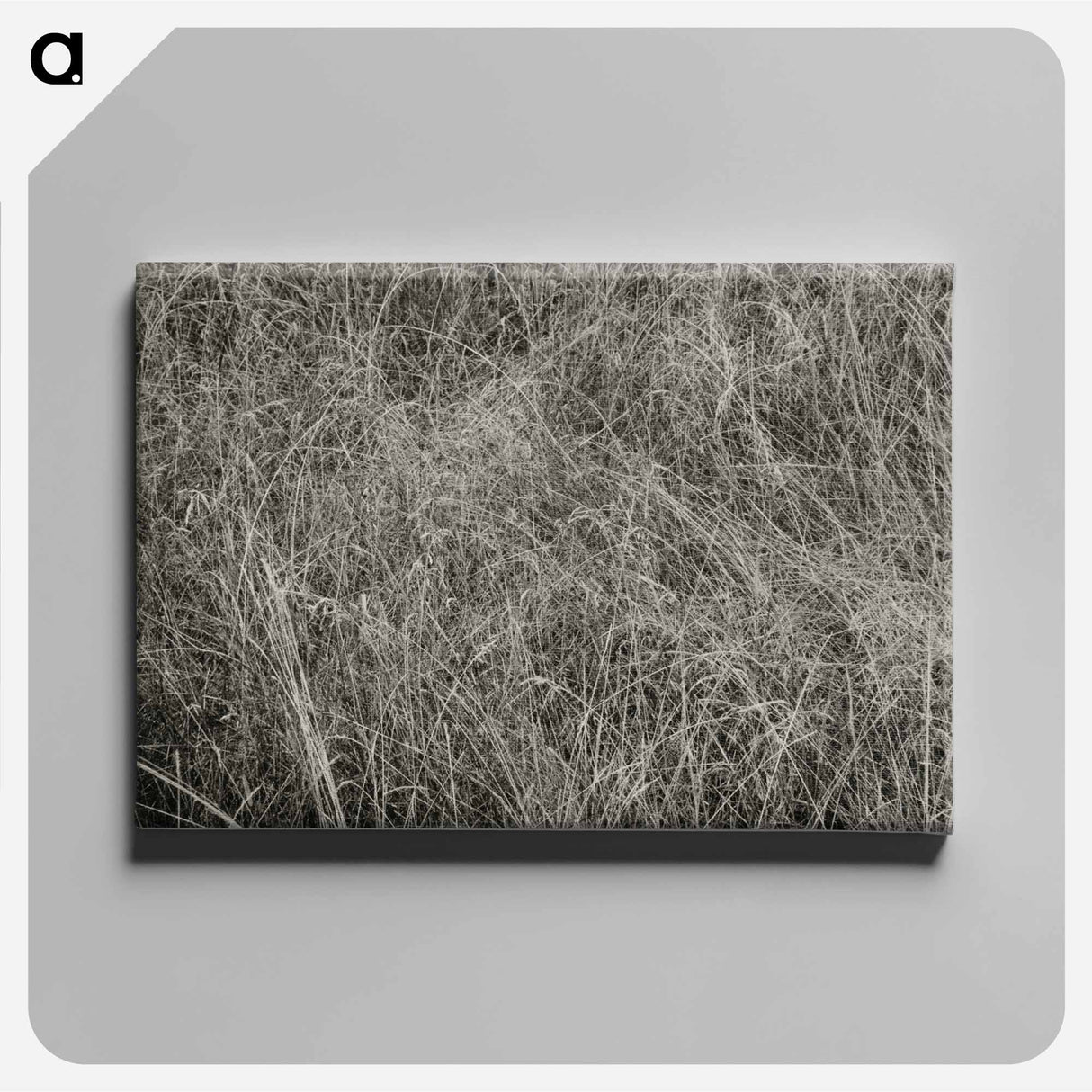 Grass - アルフレッド スティーグリッツ Canvas.