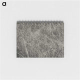 2-10_Alfred-Stieglitz_memo