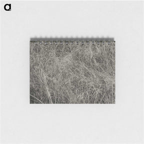 2-10_Alfred-Stieglitz_memo