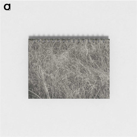 2-10_Alfred-Stieglitz_memo